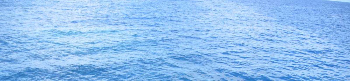 The Radical Catholic